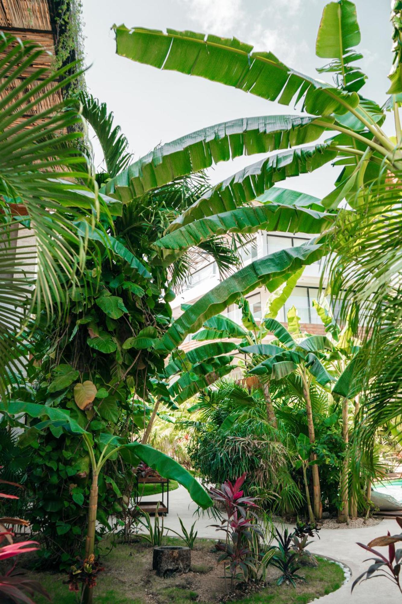 Kinah Retreat - Exclusive Boho Tropical Escape Leilighet Tulum Eksteriør bilde